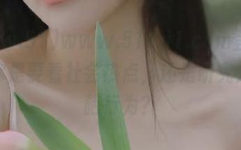 www.51cg1.com登录之后，你是要看社会热点，还是研究人类奇葩行为？