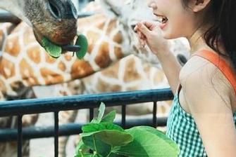 五一吃瓜：最新线路大揭秘，娜娜今天又在瓜田里撒欢儿了！