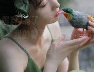 有了“万里长征正能量黑料”苹果版，我的罪恶感轻松躲避网页版的瞩目!