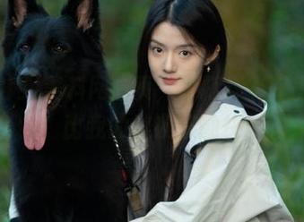 黑料网首页，不打烊？咋感到它比我的熬夜还勤快
